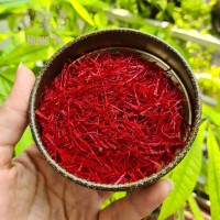 Nhụy hoa nghệ tây Saffron Bahraman 1g